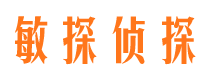 金山屯侦探公司